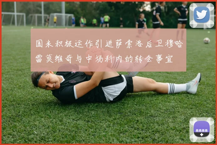 国米积极运作引进萨索洛后卫穆哈雷莫维奇与中场科内的转会事宜